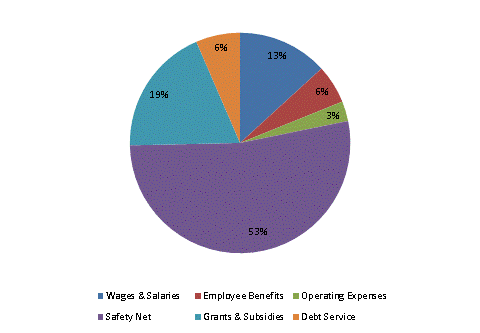 Pie Chart: Wages & Salaries=13%, Employee Benefits=6%, Operating Expenses=3%, Safety Net=52%, Grants & Subsidies=19%, Debt Service=7%