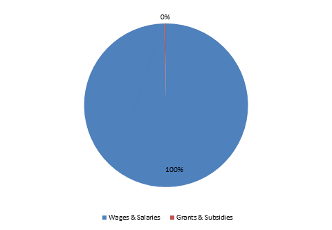 Pie Chart: Wages & Salaries=100%, Grants & Subsidies=0%