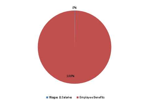 Pie Chart: Wages & Salaries=0%, Employee Benefits=100%