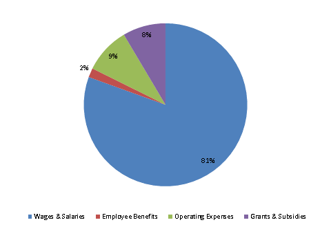 Pie Chart: Wages & Salaries=80%, Employee Benefits=2%, Operating Expenses=9%, Grants & Subsidies=9%