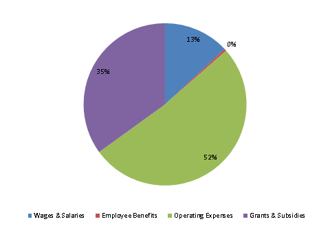 Pie Chart: Wages & Salaries=13%, Employee Benefits=0%, Operating Expenses=52%, Grants & Subsidies=35%