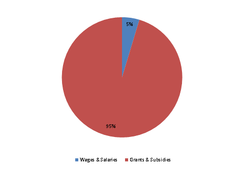 Pie Chart: Wages & Salaries=5%, Grants & Subsidies=95%