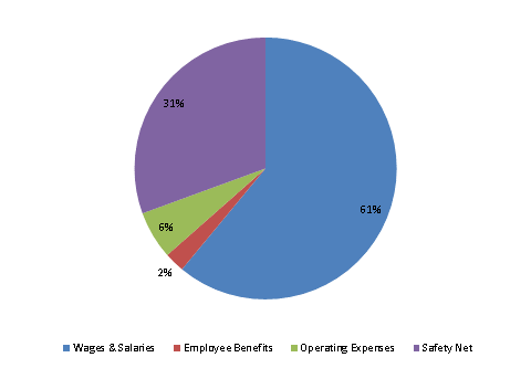 Pie Chart: Wages & Salaries=61%, Employee Benefits=2%, Operating Expenses=6%, Safety Net=31%