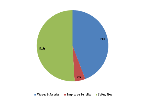 Pie Chart: Wages & Salaries=44%, Employee Benefits=5%, Safety Net=51%