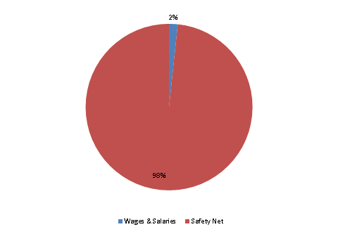 Pie Chart: Wages & Salaries=2%, Safety Net=98%