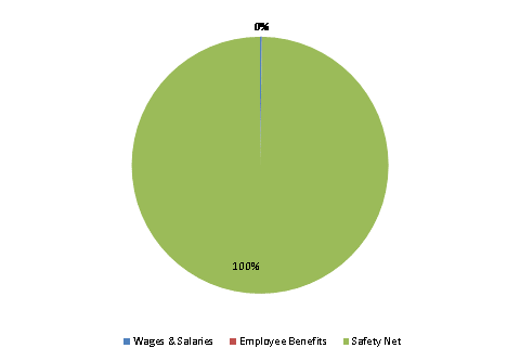 Pie Chart: Wages & Salaries=0%, Employee Benefits=0%, Safety Net=100%