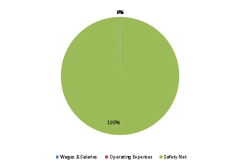 Pie Chart: Wages & Salaries=0%, Operating Expenses=0%, Safety Net=100%