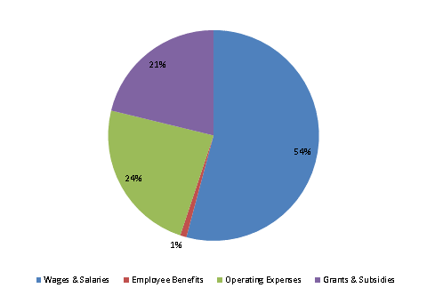 Pie Chart: Wages & Salaries=54%, Employee Benefits=1%, Operating Expenses=24%, Grants & Subsidies=21%