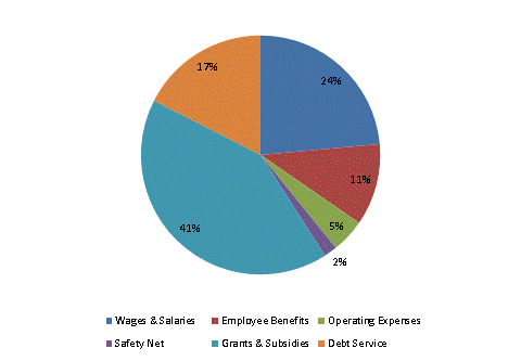 Pie Chart: Wages & Salaries=24%, Employee Benefits=11%, Operating Expenses=5%, Safety Net=2%, Grants & Subsidies=41%, Debt Service=17%