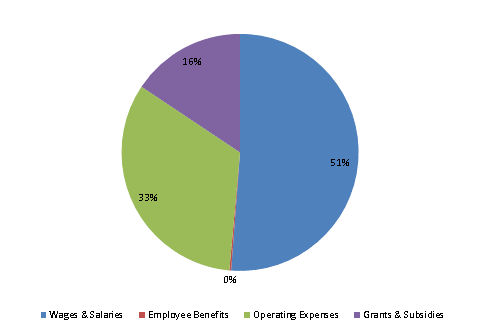 Pie Chart: Wages & Salaries=51%, Employee Benefits=0%, Operating Expenses=33%, Grants & Subsidies=16%