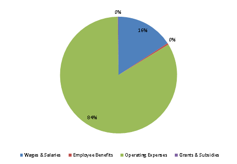 Pie Chart: Wages & Salaries=16%, Employee Benefits=0%, Operating Expenses=84%, Grants & Subsidies=0%