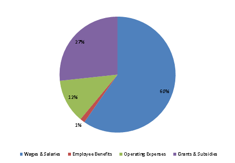 Pie Chart: Wages & Salaries=60%, Employee Benefits=1%, Operating Expenses=12%, Grants & Subsidies=27%