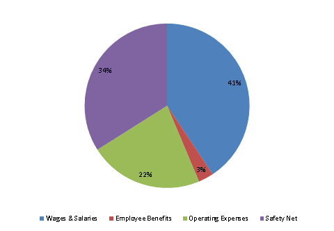 Pie Chart: Wages & Salaries=41%, Employee Benefits=3%, Operating Expenses=22%, Safety Net=34%