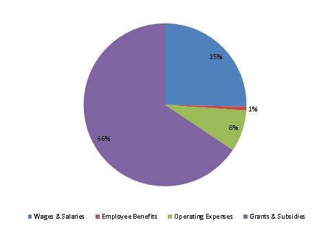 Pie Chart: Wages & Salaries=25%, Employee Benefits=1%, Operating Expenses=8%, Grants & Subsidies=66%