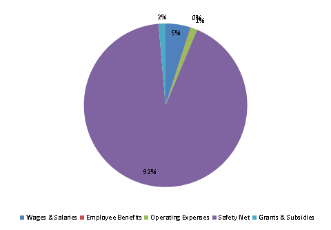 Pie Chart: Wages & Salaries=5%, Employee Benefits=0%, Operating Expenses=1%, Safety Net=93%, Grants & Subsidies=1%