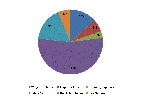 Pie Chart: Wages & Salaries=13%, Employee Benefits=6%, Operating Expenses=3%, Safety Net=55%, Grants & Subsidies=17%, Debt Service=6%