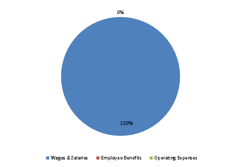 Pie Chart: Wages & Salaries=100%, Employee Benefits=0%, Operating Expenses=0%