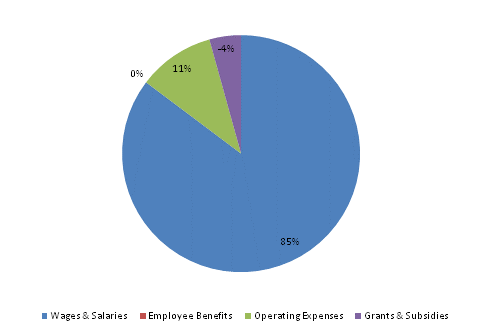 Pie Chart: Wages & Salaries=94%, Employee Benefits=0%, Operating Expenses=11%, Grants & Subsidies=-5%