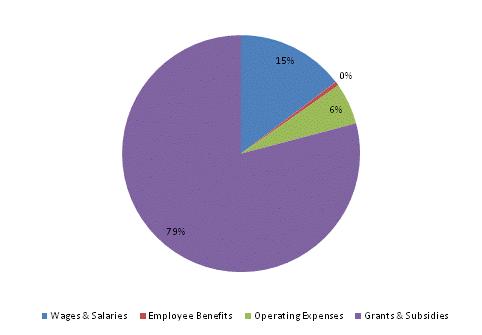 Pie Chart: Wages & Salaries=15%, Employee Benefits=1%, Operating Expenses=6%, Grants & Subsidies=78%