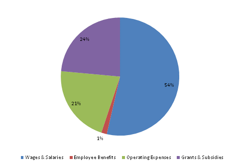 Pie Chart: Wages & Salaries=53%, Employee Benefits=2%, Operating Expenses=21%, Grants & Subsidies=24%