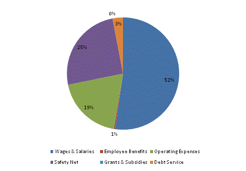 Pie Chart: Wages & Salaries=53%, Employee Benefits=0%, Operating Expenses=19%, Safety Net=25%, Grants & Subsidies=0%, Debt Service=3%