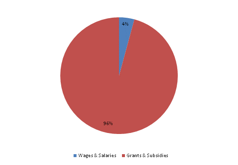 Pie Chart: Wages & Salaries=4%, Grants & Subsidies=96%