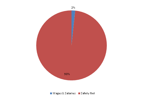 Pie Chart: Wages & Salaries=2%, Safety Net=98%