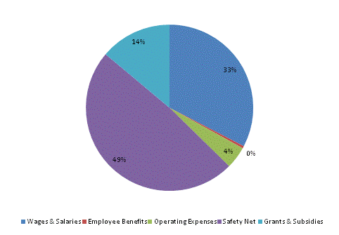 Pie Chart: Wages & Salaries=33%, Employee Benefits=0%, Operating Expenses=4%, Safety Net=49%, Grants & Subsidies=14%