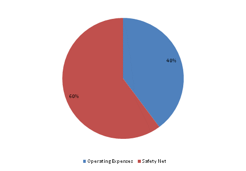 Pie Chart: Operating Expenses=40%, Safety Net=60%