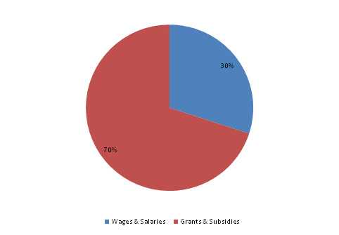 Pie Chart: Wages & Salaries=30%, Grants & Subsidies=70%