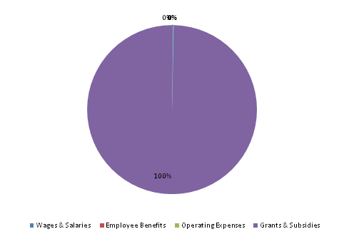 Pie Chart: Wages & Salaries=0%, Employee Benefits=0%, Operating Expenses=0%, Grants & Subsidies=100%