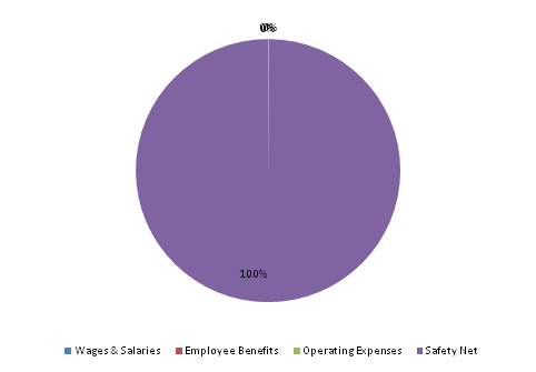 Pie Chart: Wages & Salaries=0%, Employee Benefits=0%, Operating Expenses=0%, Safety Net=100%