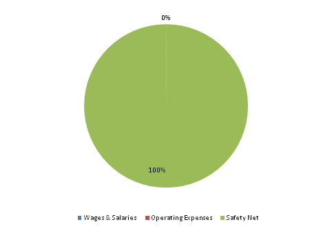 Pie Chart: Wages & Salaries=0%, Operating Expenses=0%, Safety Net=100%