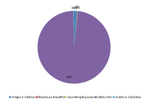 Pie Chart: Wages & Salaries=1%, Employee Benefits=0%, Operating Expenses=0%, Safety Net=99%, Grants & Subsidies=0%