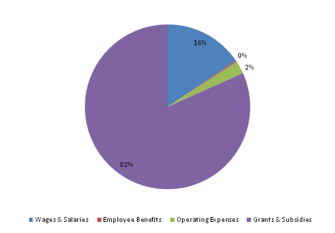 Pie Chart: Wages & Salaries=16%, Employee Benefits=0%, Operating Expenses=3%, Grants & Subsidies=81%