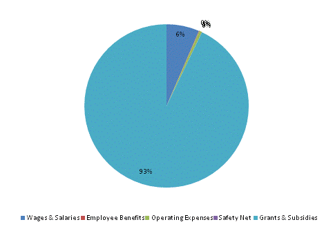 Pie Chart: Wages & Salaries=6%, Employee Benefits=0%, Operating Expenses=1%, Safety Net=0%, Grants & Subsidies=93%