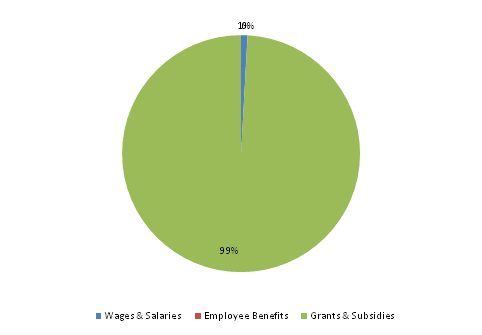 Pie Chart: Wages & Salaries=1%, Employee Benefits=0%, Grants & Subsidies=99%