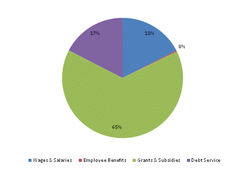 Pie Chart: Wages & Salaries=18%, Employee Benefits=0%, Grants & Subsidies=65%, Debt Service=17%