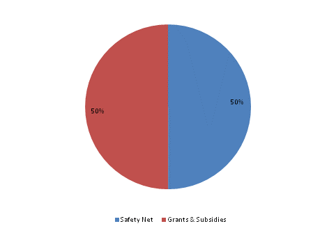 Pie Chart: Safety Net=50%, Grants & Subsidies=50%