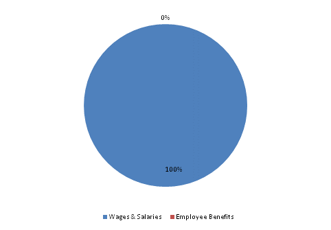 Pie Chart: Wages & Salaries=100%, Employee Benefits=0%