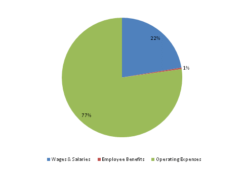 Pie Chart: Wages & Salaries=22%, Employee Benefits=0%, Operating Expenses=78%