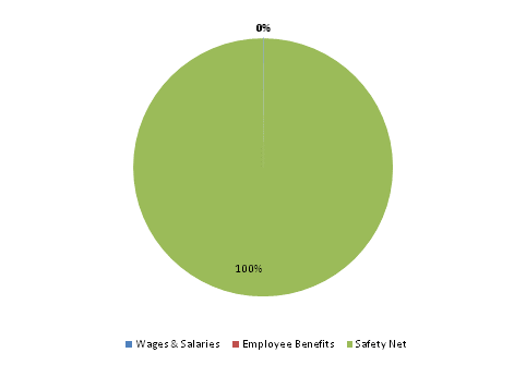 Pie Chart: Wages & Salaries=0%, Employee Benefits=0%, Safety Net=100%