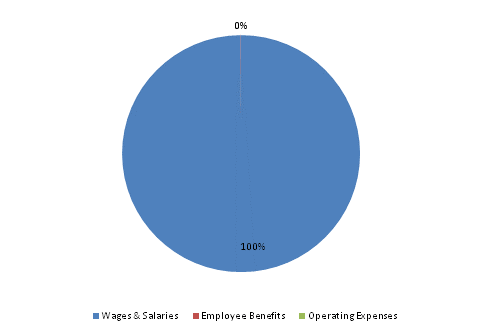 Pie Chart: Wages & Salaries=100%, Employee Benefits=0%, Operating Expenses=0%