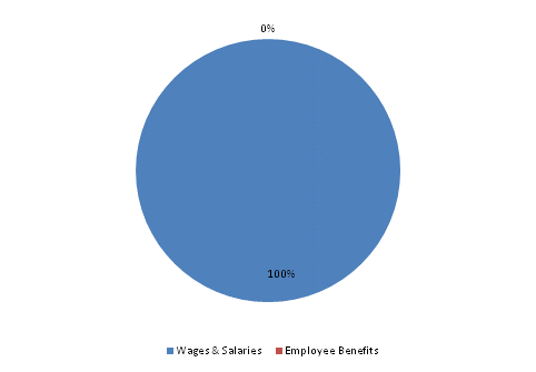 Pie Chart: Wages & Salaries=100%, Employee Benefits=0%