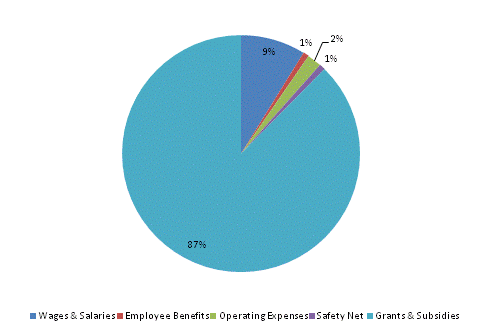 Pie Chart: Wages & Salaries=9%, Employee Benefits=1%, Operating Expenses=2%, Safety Net=1%, Grants & Subsidies=87%