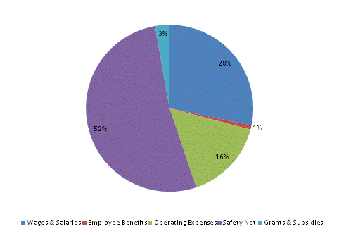 Pie Chart: Wages & Salaries=28%, Employee Benefits=1%, Operating Expenses=16%, Safety Net=52%, Grants & Subsidies=3%