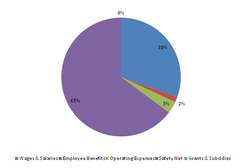 Pie Chart: Wages & Salaries=30%, Employee Benefits=1%, Operating Expenses=3%, Safety Net=66%, Grants & Subsidies=0%