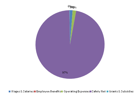 Pie Chart: Wages & Salaries=1%, Employee Benefits=0%, Operating Expenses=2%, Safety Net=97%, Grants & Subsidies=0%