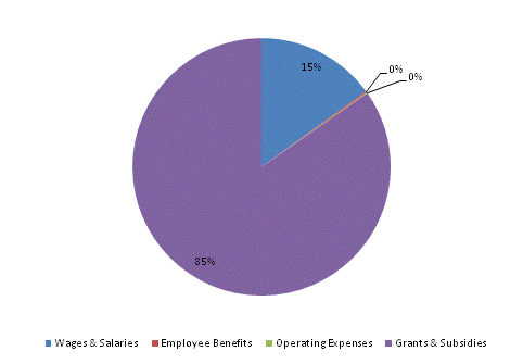 Pie Chart: Wages & Salaries=15%, Employee Benefits=0%, Operating Expenses=0%, Grants & Subsidies=85%