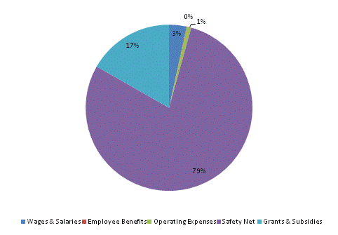 Pie Chart: Wages & Salaries=3%, Employee Benefits=0%, Operating Expenses=1%, Safety Net=79%, Grants & Subsidies=17%